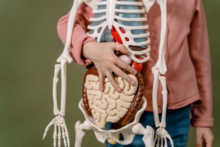 10 Fatos Incomuns Sobre o Corpo Humano que Você Nunca Imaginou