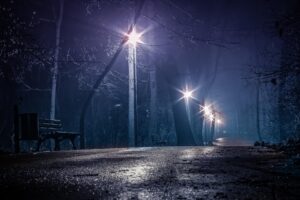 Postes em uma rua umida durante a noite.