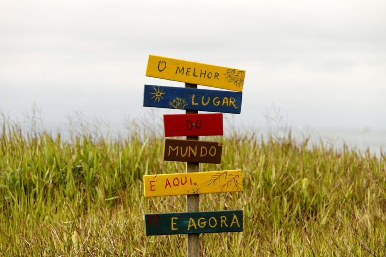 O que aprendi tentando decifrar placas bizarras de banheiro pelo mundo